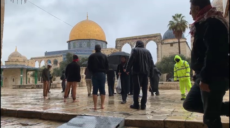 WhatsApp-Video-2022-01-16-at-11.08.39-AM