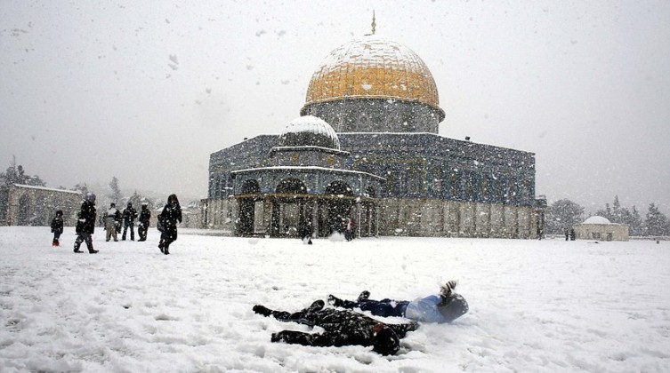 WhatsApp-Video-2022-01-19-at-7.37.51-PM