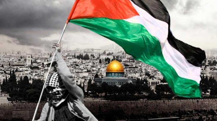 فلسطين-7