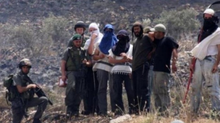 الأغوار: قطعان المستوطنين يهاجمون الرعاة الأغنام