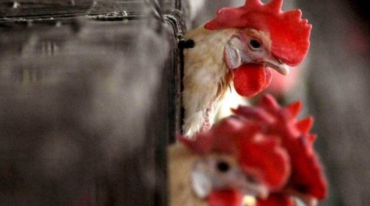 20211228155952602637763039926024581