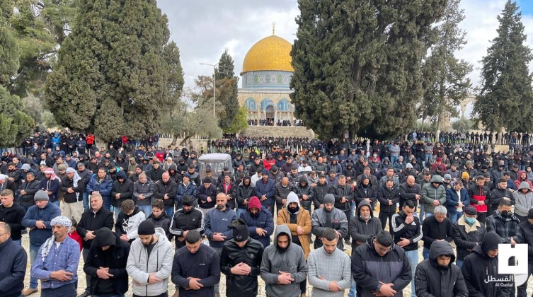 IMG_20220225_135617_245