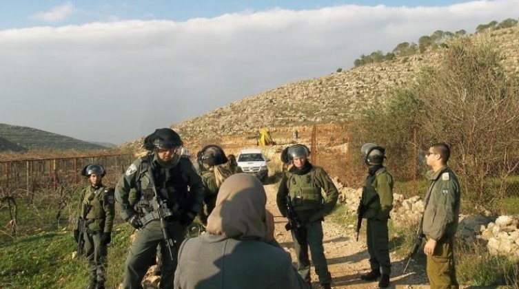 النقب:  الاحتلال يقرر الاستمرار في عمليات زراعة الأراضي