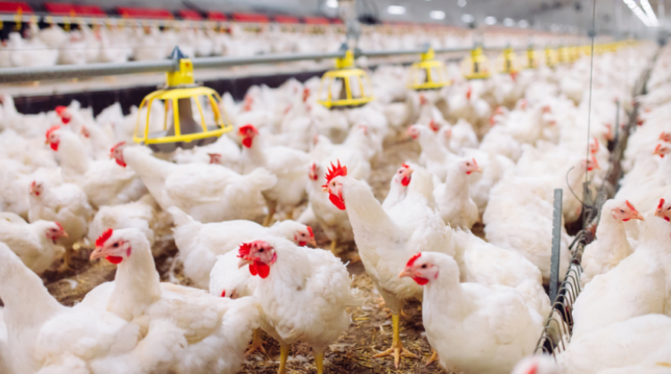 5d6cb3ad838d7-780x405