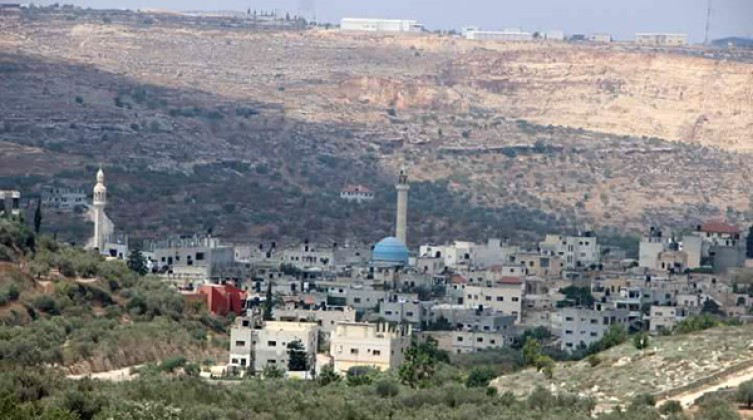 deer-sharaf-49