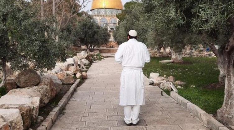 WhatsApp-Video-2022-03-17-at-9.04.30-AM