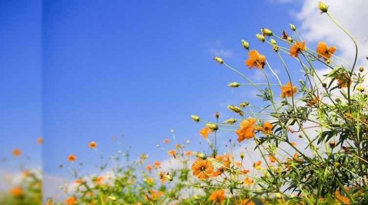 الطقس: انخفاض طفيف على درجات الحرارة