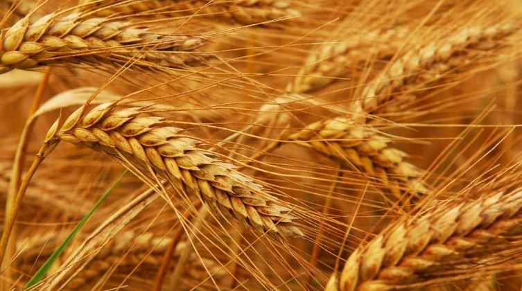 919bf6e4-c244-4580-a72a-3320a630a5dc