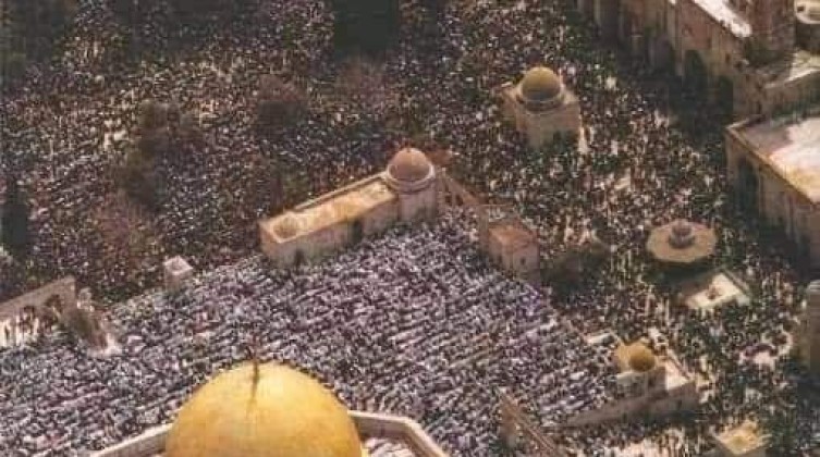 WhatsApp Image 2022-04-15 at 2.30.12 PM