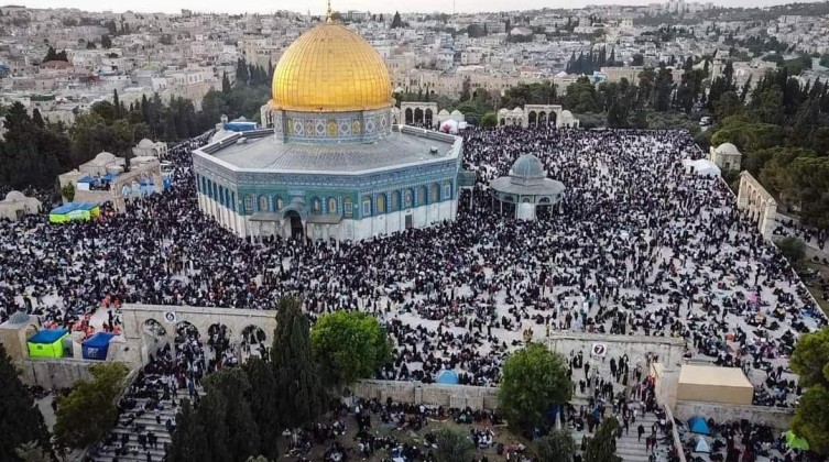 WhatsApp Image 2022-04-27 at 9.54.52 PM