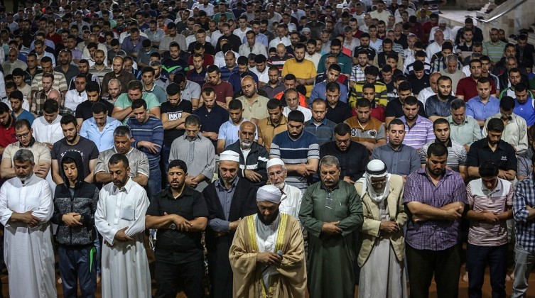 c3d3a7f5614113a216731c4d0dd36a38