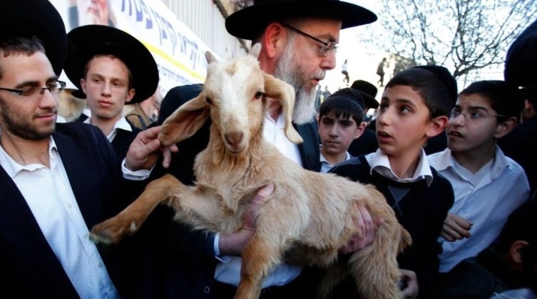 fadfa6b3-ما-هو-سبب-ذبح-القرابين-عند-اليهود؟-1-1