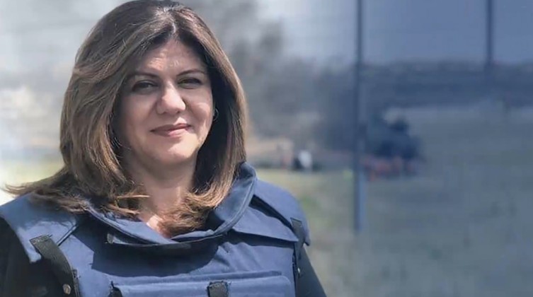 153267.mpg.00_46_45_14.Still001