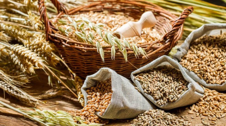 c469917e-c339-4b72-9673-458648803132-16x9-1200x676-1616095506