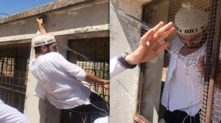 المستوطنين