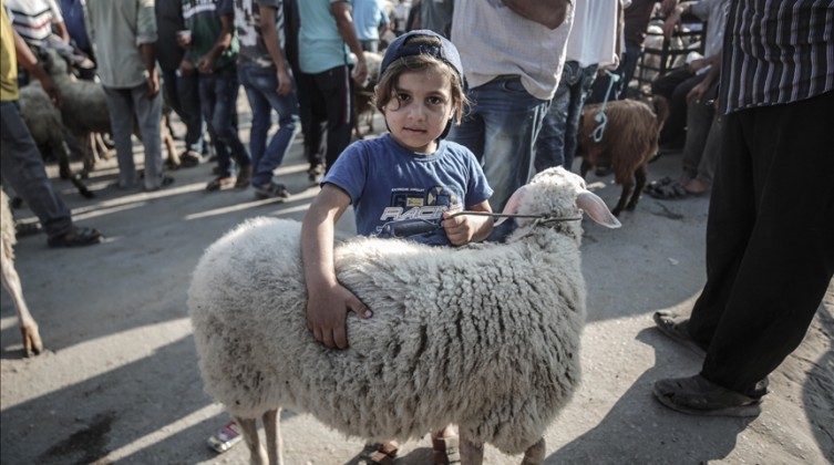 "إفتاء فلسطين" تصدر فتواها حول حكـم الجمـع في النيـة بيـن العقيقـة والأضحيـة