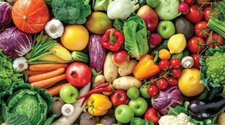 أسعار الخضروات والدجاج في أسواق غزة