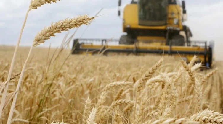الأمم المتحدة تحذر من "كارثة جوع" جراء حصار روسيا لموانئ أوكرانيا