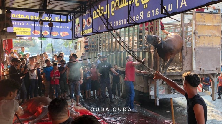 إصابة 43 مواطن خلال عملية "ذبح الأضاحي" في خان يونس جنوب قطاع غزة