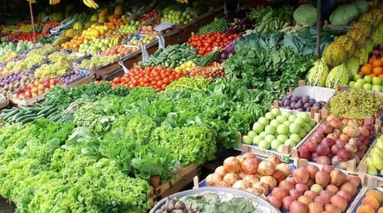 أسعار المنتجات الزراعية واللحوم في أسواق غزة اليوم الثلاثاء