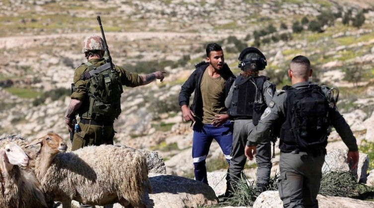 مستوطنون يعتدون على رعاة الأغنام بمسافر يطا
