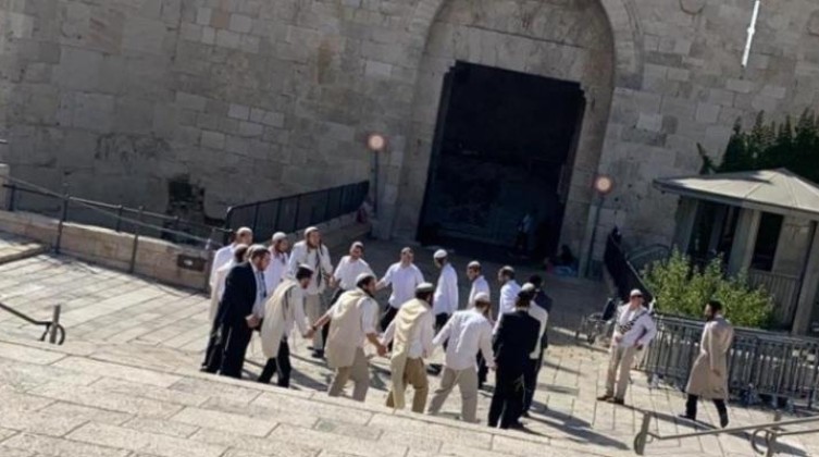 القدس المحتلة: مستوطنون يقتحمون ساحة الغزالي قرب باب الأسباط
