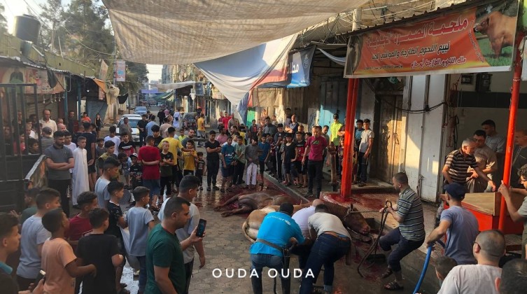 بالصور:  "اليوم الإخباري" يرصد لكم أجواء ذبح الأضاحي أول أيام عيد الأضحى في غزة