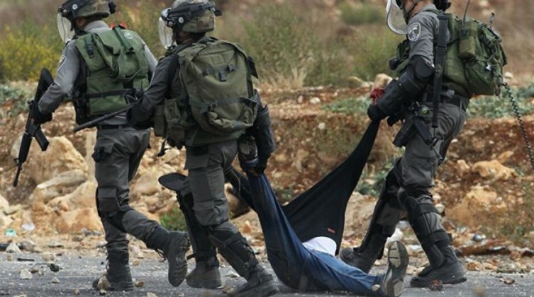الضفة المحتلة: الاحتلال يعتقل شابًا ويدهس فتى في جنين