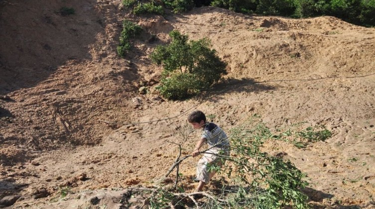 "الزراعة بغزة" تكشف قيمة خسائر القطاع الزراعي خلال العدوان