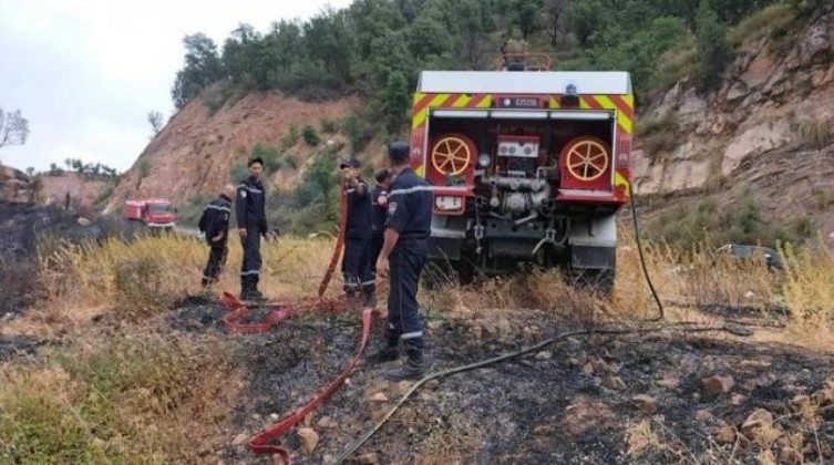 الجزائر: ارتفاع وفيات حرائق الغابات إلى 38