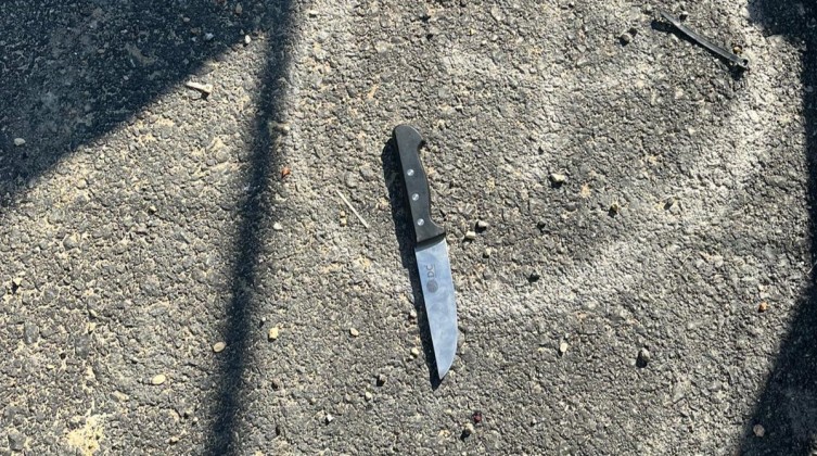 الجيش الإسرائيلي: إحباط عملية طعن عند حاجز في جنين