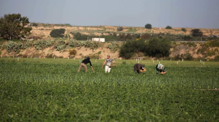 غزة: توغل محدود لآليات الاحتلال شمال القطاع