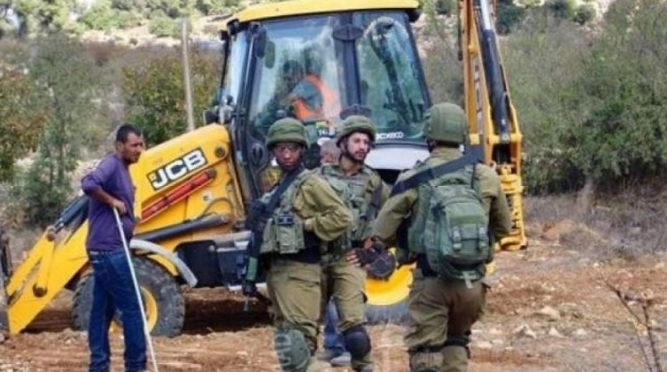 نابلس: مستوطنون يقطعون 25 شجرة زيتون في قرية "قريوت"