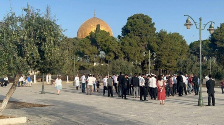 بالفيديو والصور: مئات المستوطنين يقتحمون الأقصى وحائط البراق