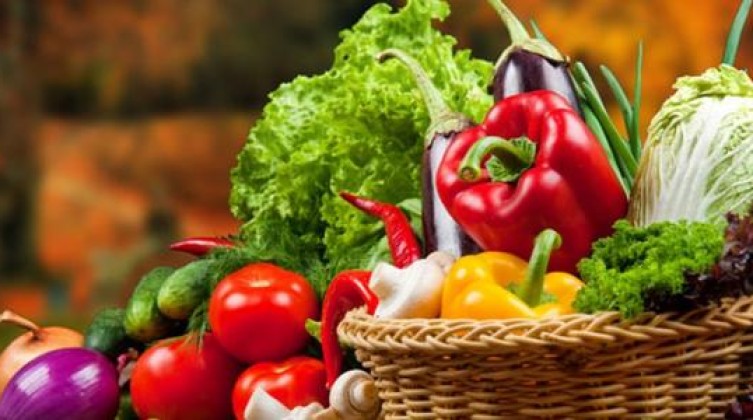 أسعار الخضروات والدجاج في أسواق غزة