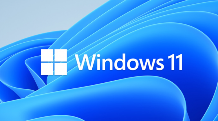 مايكروسوفت أخفقت حماية حواسيب العاملة بنظام التشغيل ويندوز