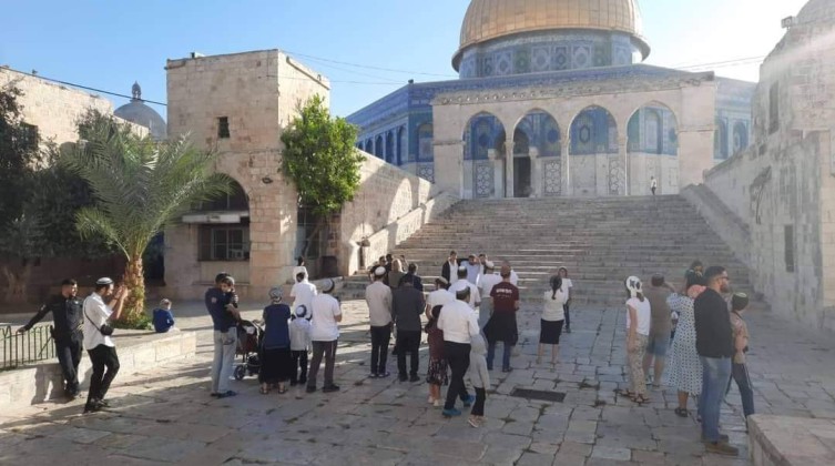 بالفيديو: عشرات المستوطنين يقتحمون الأقصى في تاني أيام عيد العُرش