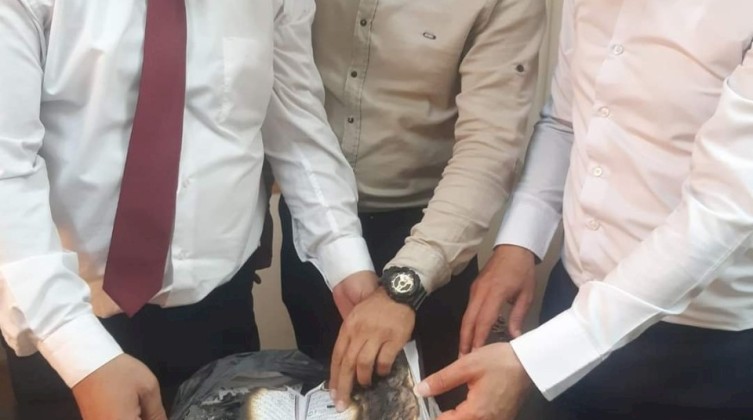 مستوطنون يحرقون المصحف الشريف في أحد مساجد الخليل