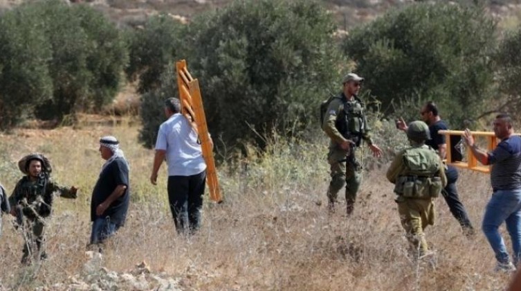 سلطات الاحتلال تمنع المزارعين من قطف الزيتون شرق نابلس