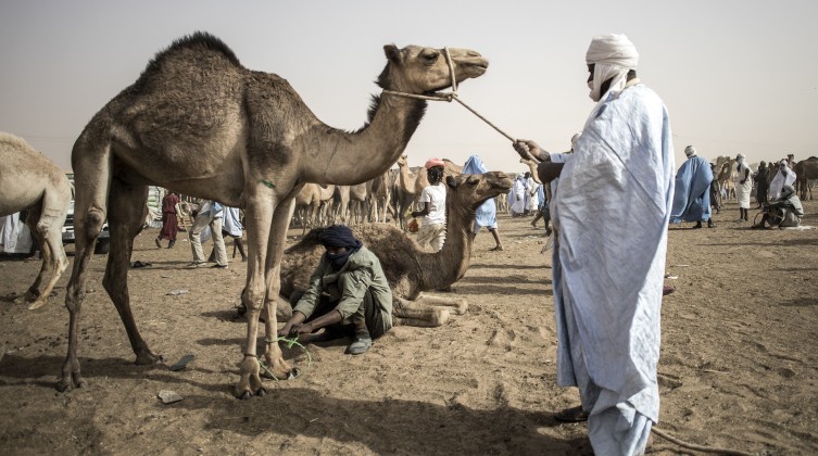 الصحة الموريتانية: وفاة 22 شخصا جراء حمى "الوادي المتصدع"