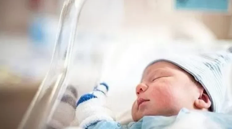 إحصائية المواليد والوفيات في قطاع غزة