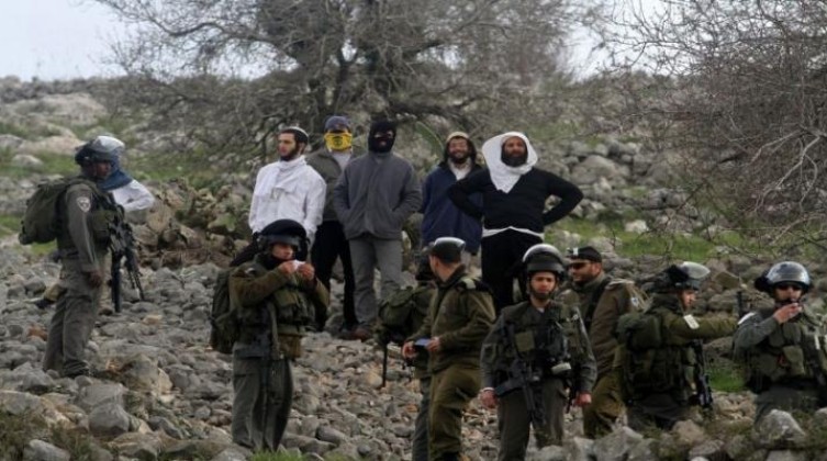 إصابة صحفي اثر اعتداء مستوطنين على قاطفي الزيتون في الخليل