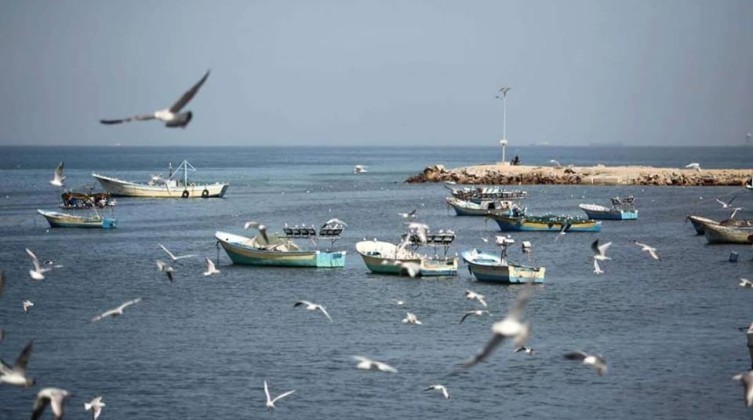 حالة الطقس في فلسطين اليوم الأريعاء