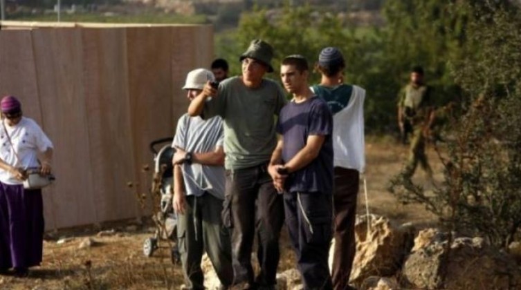 مستوطنون يعتدون على قاطفي الزيتون غرب سلفيت