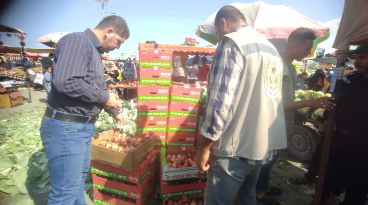 مباحث التموين بغزة تتلف كميات من الخوخ الفاسد وسط القطاع