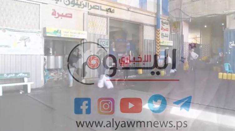 بالفيديو: موسم وفير من الزيت والزيتون في قطاع غزة هذا العام