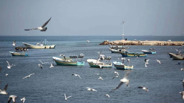 حالة طقس فلسطين اليوم الاحد