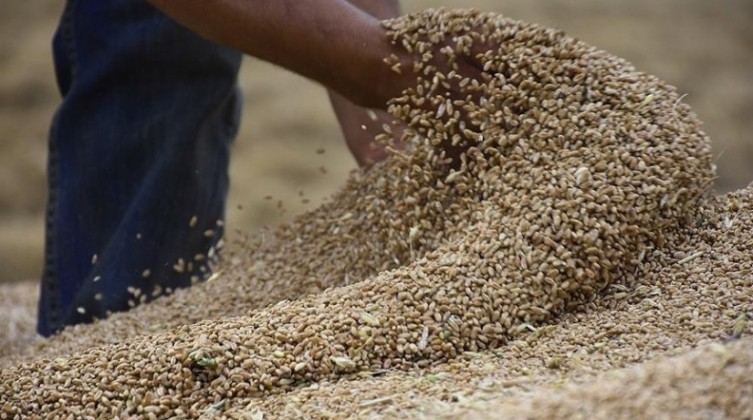 الاقتصاد الوطني تعلن عن موعد فتح مناقصة عطاء مشروع صوامع القمح