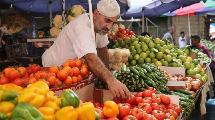 أسعار المنتجات الزراعية واللحوم في أسواق غزة اليوم الثلاثاء