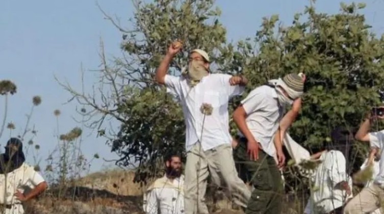 مستوطنون يهاجمون مساكن المواطنين في الأغوار الشمالية